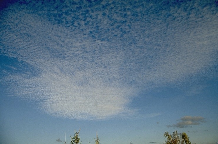 altocumulus_lacunosus_grand.jpg