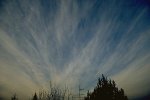 cirrus_radiatus_petit.jpg