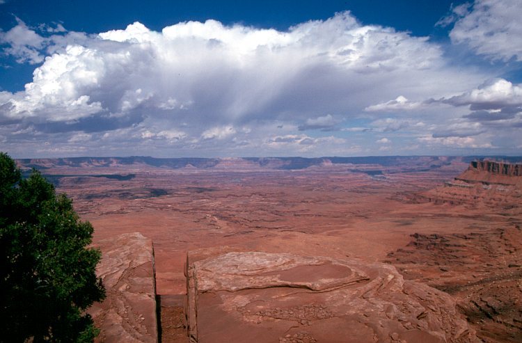 cumulonimbus_virga_grand.jpg