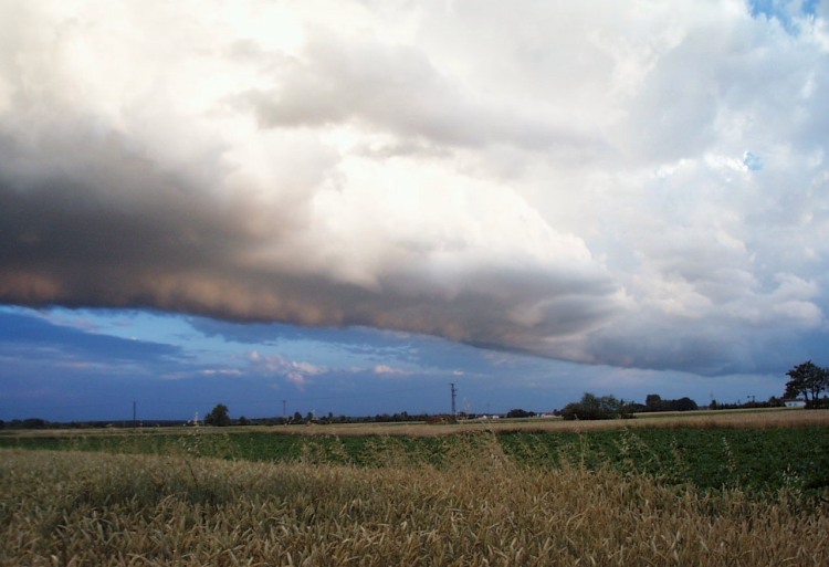 cumulus_arcus_grand.jpg