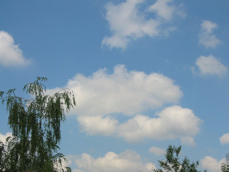 cumulus_humilis_grand.jpg