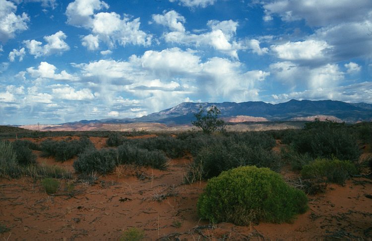 cumulus_virga_grand.jpg