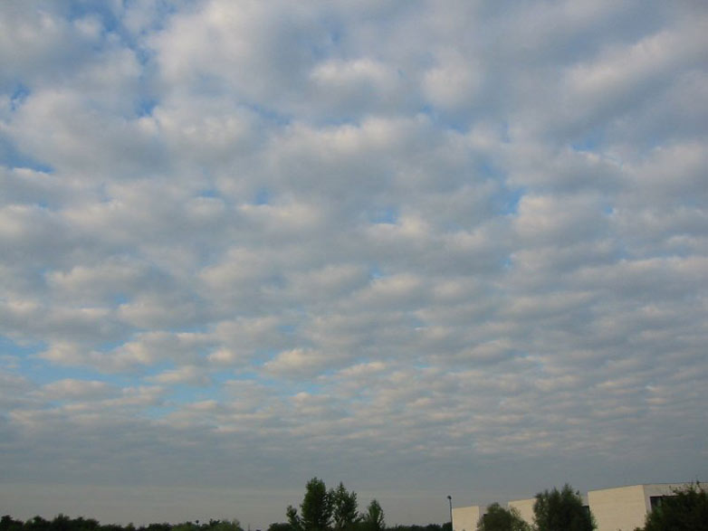 stratocumulus_perlucidus_grand.jpg