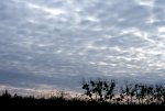 stratocumulus_stratiformis_opacus_petit.gif