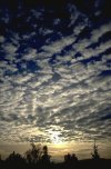 stratocumulus_translucidus_petit.jpg