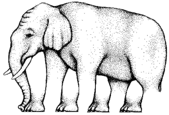 elephant.gif