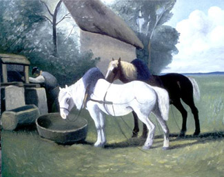 chevaux.jpg